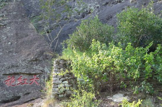 母樹大紅袍給誰喝了，為什么母樹大紅袍叫三棵六株？