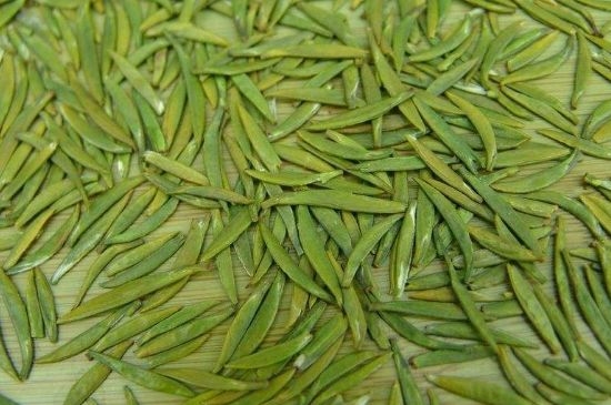 竹葉青和毛尖的區(qū)別，毛尖和竹葉青怎么分辨？