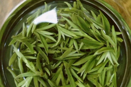 什么綠茶茶葉唇齒留香，哪個(gè)品種綠茶香氣好？