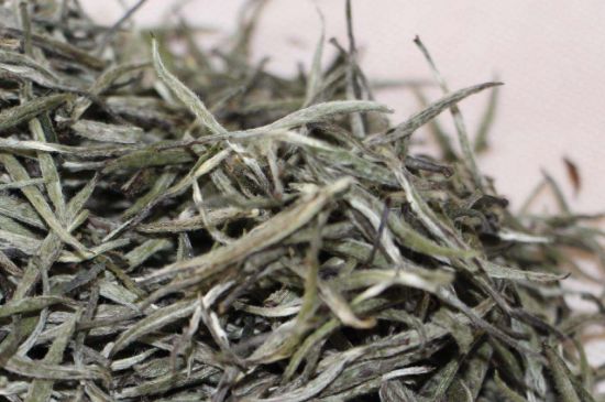 什么人不能喝白茶，白茶不宜什么人喝？