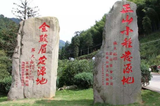 300塊錢(qián)的金駿眉能喝嗎，兩三百多金駿眉和一千多區(qū)別