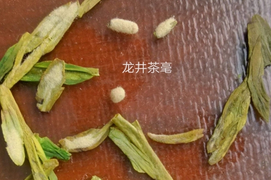 西湖龍井茶毫和發(fā)霉區(qū)別圖片，長霉的龍井茶葉會是什么樣？