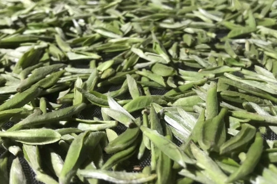 白毫銀針年份久的有什么香，陳年白毫銀針的香氣