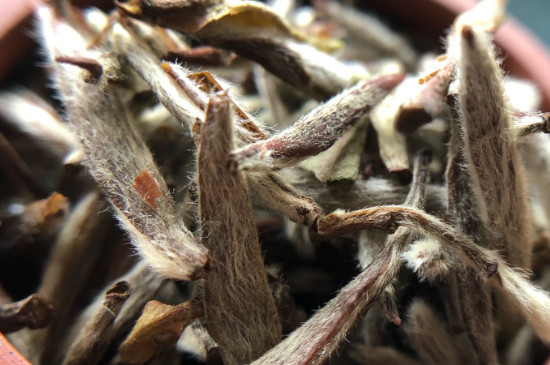 白毫銀針年份越久越好嗎，銀針白毫是否越陳越好