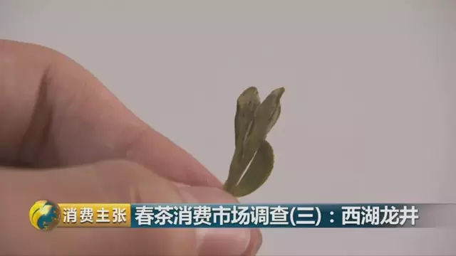 龍井群體種和43號的區(qū)別圖片，龍井43和群體種哪個好喝？