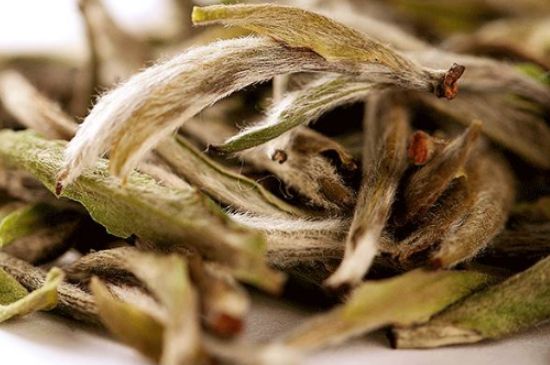 荒野銀針有什么特點(diǎn)，荒野銀針的味道口感咋樣？