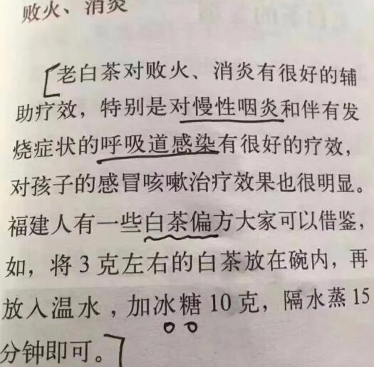 老白茶上火還是去火？夏季喝煮的老白茶會(huì)容易上火！