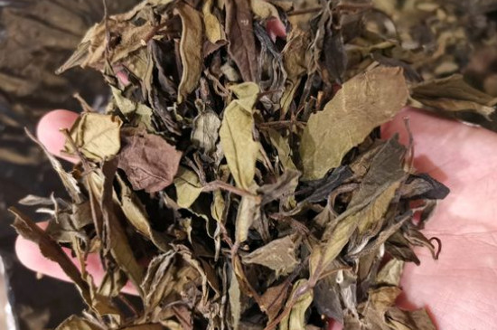 新舊白茶怎么區(qū)分，怎么分辨白茶是新還是舊