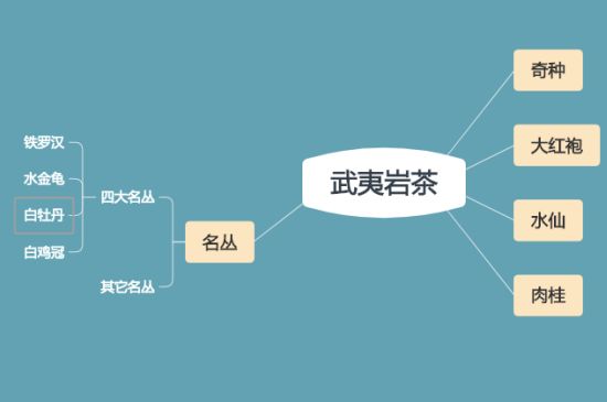 武夷巖茶品種大全，巖茶有幾種？