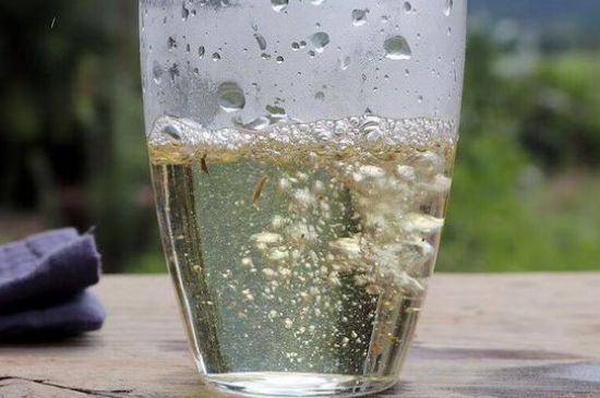 三年白茶賽砒霜，這是真的嗎？