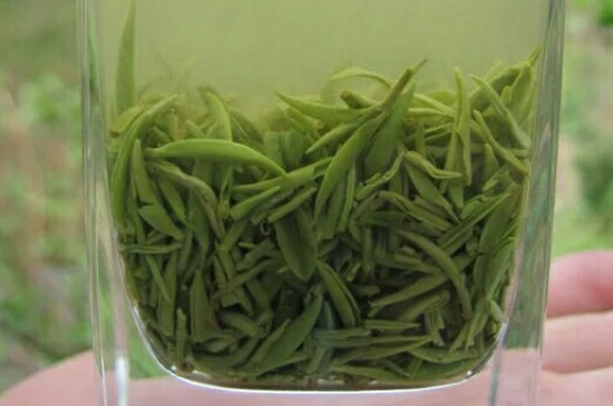 什么綠茶茶葉唇齒留香，哪個(gè)品種綠茶香氣好？