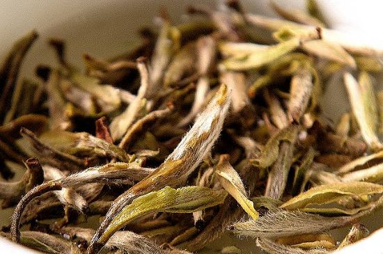 荒野銀針市場(chǎng)價(jià)多少，真正的荒野白毫銀針多少錢？