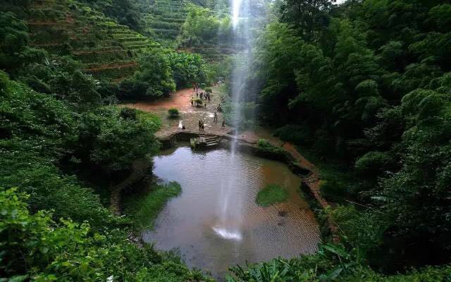 武夷山為什么盛產(chǎn)茶葉，武夷山茶為什么好喝？