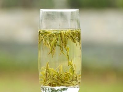 霍山黃芽算是好茶嗎，霍山黃芽屬于什么茶？
