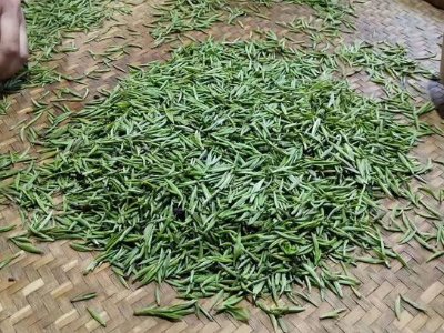 金駿眉幾年可以算陳茶，金駿眉新茶好還是老茶