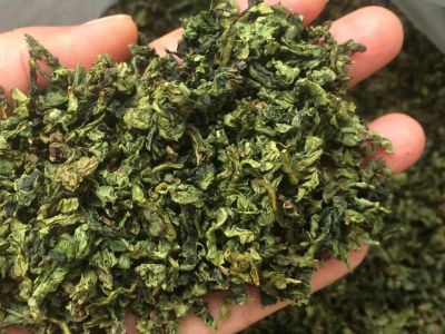 鐵觀音毛茶茶?？梢耘菟葐?，鐵觀音帶梗是不是好茶？