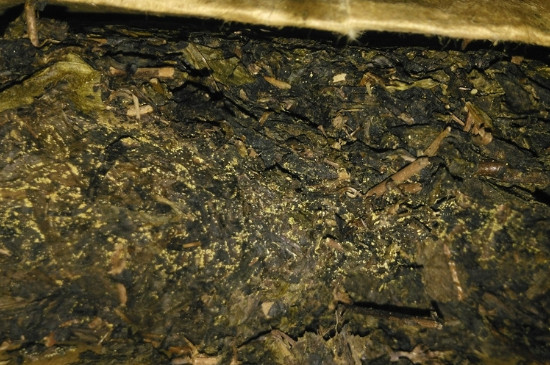 黑茶茯茶保存五大忌，茯茶收藏的注意事項