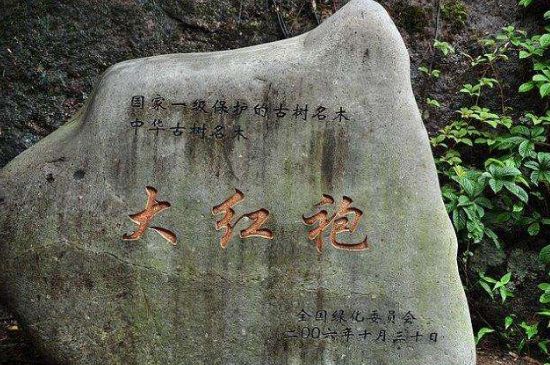 母樹大紅袍給誰喝了，為什么母樹大紅袍叫三棵六株？