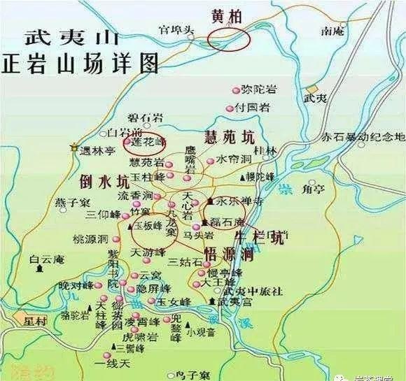 300塊錢(qián)的金駿眉能喝嗎，兩三百多金駿眉和一千多區(qū)別