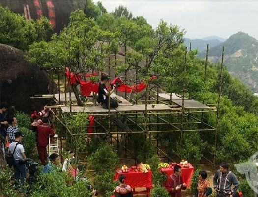 宋種一號價值為什么高，鳳凰單樅宋種1號價格與產(chǎn)量多少？