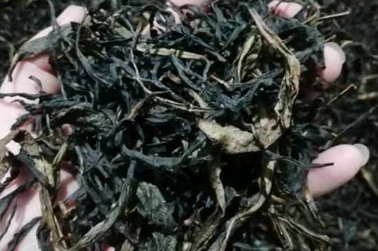 蜜蘭香好還是鴨屎香好，鳳凰單叢茶蜜蘭香和鴨屎香特點有哪些？