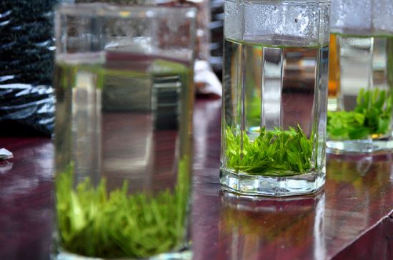 綠茶放了三年還能喝嗎，綠茶放久了喝了會怎樣