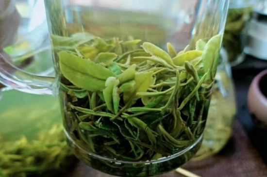 什么綠茶味道濃香，那個(gè)綠茶比較濃香？