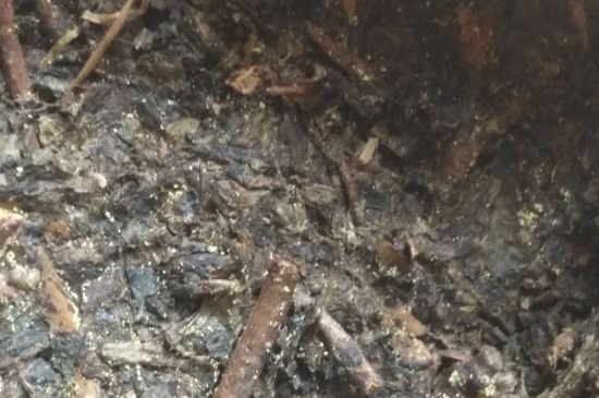 黑茶茯茶保存五大忌，茯茶收藏的注意事項