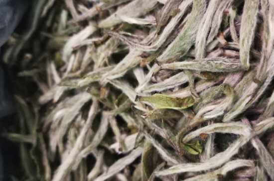 白毫銀針年份越久越好嗎，銀針白毫是否越陳越好